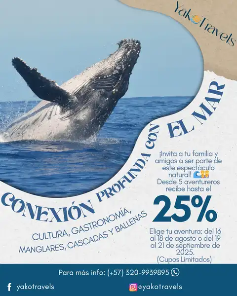 Avistamiento de Ballenas