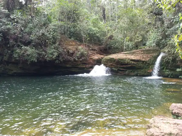 imagen Región Andino Amazónica 